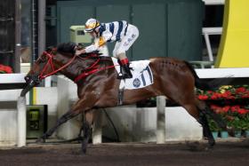 Packing Bole returns to his preferred track and distance. With little pace in the Class 3 race over 1,200m at Sha Tin, he should be able to roll forward. 