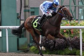 Legend Sixty-Three (Carlos Henrique) sprinting home the best in the Open Maiden (1,100m) at Kranji on Sept 14. The win was the first salvo fired by trainer Richard Lim towards a four-timer.
