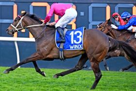 Smart mare Fangirl (James McDonald) winning the 2023 Group 1 Winx Stakes (1,400m). She ran third in the 2024 renewal on Aug 24.
