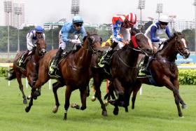 Makin (Manoel Nunes, far right) emerging a narrow winner in a blanket finish to the Class 1 (1,400m) race on Sept 21. Big Union (Bernardo Pinheiro, striped cap) runs a shorthead second, with Big Hearted (Carlos Henrique) third another neck away.