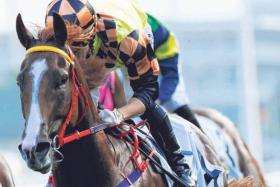 The Cody Mo-trained Magic Control (Matthew Chadwick) sweeping to his first Hong Kong victory in a Class 3 race (1,000m) at Sha Tin on Sept 15.
