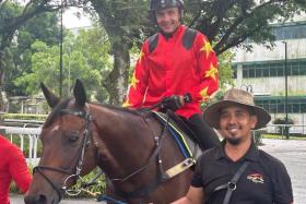 Marc Lerner and Group 1 Grand Singapore Gold Cup contender Lim&#039;s Kosciuszko being led out to their last Kranji barrier trial on Sept 26. 
