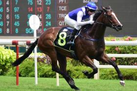 Trainer Steven Burridge remains upbeat that Makin can beat the horror draw in the Group 1 Grand Singapore Gold Cup (2,000m) on Oct 5.


