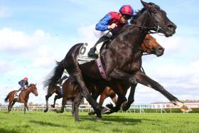 The Aidan O'Brien-trained Los Angeles winning the Group 1 Critrium de Saint Cloud (2,000m) on Oct 22, 2023. He will be one of the 16 contenders lining up in the Group 1 Prix de l'Arc de Triomphe (2,400m) at Longchamp on Oct 6. 
