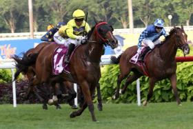 The last 50m of Singapore&#039;s last race unfolding into a finish for the ages with Smart Star (Muzi Yeni) gathering momentum on the outside to outstay his 15 rivals in the Group 1 Grand Singapore Gold Cup (2,000m) on Oct 5.