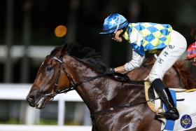 Galaxy Patch (Vincent Ho) scoring at Sha Tin on June 23. The Group 2 Sha Tin Trophy (1,600m) on Oct 13 is a warm-up towards the Hong Kong Mile in December.