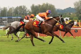 Antipodean (Wong Chin Chuen, No. 5) flying home to capture the Sports Toto Supreme Challenge Cup (1,400m) at Sungai Besi on Oct 13. 
