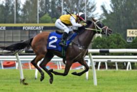 Suspicious Mind is in fine trim, going on his eye-catching workout on the training track on Oct 15, and warrants support in the Class 4A 1,300m event at Ipoh on Oct 20 