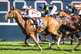 Giga Kick (Craig Williams) recording a thrilling win in The Everest (1,200m) at Randwick in 2022. The Clayton Douglas-trained sprinter is bidding to double the dose two years later on Oct 19.