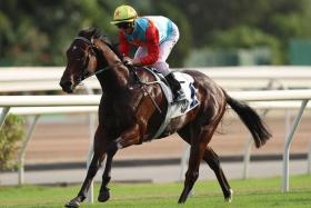 The David Hayes-trained Ka Ying Rising (Zac Purton) taking out the Group 2 Premier Bowl (1,200m) with great authority at Sha Tin racecourse on Oct 20.
