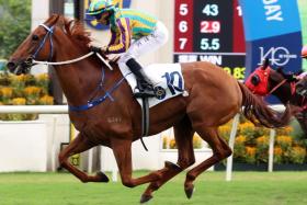 The Caspar Fownes-trained Karma, with jockey Vincent Ho up, claiming the Class 2 HKJC 140th Anniversary Cup Handicap (1,600m) at Sha Tin on Oct 20.
