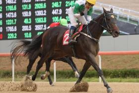 Leading Seoul jockey Moon Se-young, who just lost his father, showing his delight as he steers the Luigi Riccardi-trained Wonderful Slew to victory in the Group 3 Gyeongnam Governor’s Cup (2,000m) at Busan Racecourse on Oct 20. 
