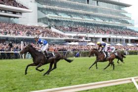 Flemington takes centre stage for Australia&#039;s most popular horse race on every first Tuesday of November, the Melbourne Cup, drawing a yearly pilgrimage of both racing aficionados and once-a-year attendees. Gold Trip (Mark Zahra) is seen winning the 2022 renewal before a jam-packed grandstand. This year, Caulfield Cup runner-up Buckaroo is the favourite for Sydney trainer Chris Waller.
