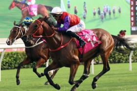 The John Size-trained Ensued (Karis Teetan) keeping a strong gallop to win the Group 3 Sa Sa Ladies&#039; Purse (1,800m) at Sha Tin on Nov 3.
