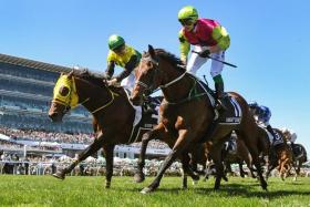 Knight&#039;s Choice (Robbie Dolan, No. 11) edging out Warp Speed (Akira Sugawara) in the Group 1 Lexus Melbourne Cup (3,200m) at Flemington on Nov 5.