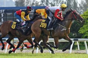 Contarelli (Khairil Zulkiflee) finishing ahead of Garudan (obscured) in barrier trial No. 3 at Sungai Besi on Nov 5. Thunderstorm (Uzair Sharudin, M49) ran third.
