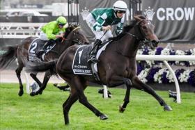 Treasurethe Moment (Damian Lane) drawing away to an easy win in the Group 1 Crown Oaks (2,500m) at Flemington on Nov 7.