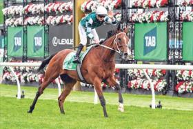 The Chris Waller-trained Via Sistina (James McDonald) scoring a fifth Australian Group 1 win in the Champions Stakes (2,000m) at Flemington on Nov 9, two weeks after her stellar Cox Plate (2,040) win at Moonee Valley.