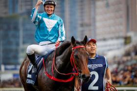 James McDonald has won seven Group 1s on Romantic Warrior. The pair will be reunited in the HK$5.35 million Group 2 BOCHK Jockey Club Cup (2,000m) at Sha Tin on Nov 17.


