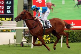 The Francis Lui-trained Patch Of Theta (Derek Leung) winning the Class 2 Chevalier Cup Handicap over 1,600m at Sha Tin on Nov 24.