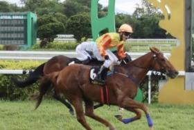 The Wayne Lim-trained Mega Gems (Lim Aun Kean) winning the Group 1 Kawan ESG Coronation Cup in Ipoh on Nov 3.