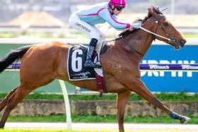 Bravo Centurion (Chris Parnham) bringing up the third leg of his six-in-a-row at Ascot in a race over 1,000m at Belmont on Aug 24. The bid for the unbeaten run to continue comes in the Group 1 Winterbottom Stakes on Nov 30.
