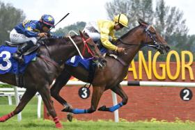 The Ananthen Kuppan-trained Jungle King (Tuan Ammar) beating Rambo on Oct 13.