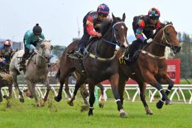 The Richard Lim duo of Songgong Hera (Ruzaini Supien) and Faithful Leader (Mohd Lukman) locking horns in the first barrier trial at Sungai Besi on Dec 10, with the former fighting back on the inside to prevail by a nose.