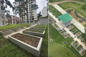 Does this community garden give you any graveyard vibes?