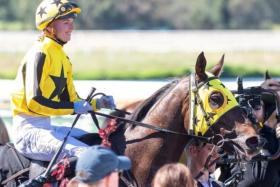 Lucy Fiore bringing Sentimental Hero back to scale after their victory in the Listed A.J. Scahill Cup (2,100m) at Ascot on Nov 23.
