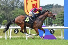 The Winson Cheng Han Yong-trained Heart Of Fire (Haikal Hasin) at his last victory on May 26. He looked sharp during his workout at Kuala Lumpur on Dec 31.