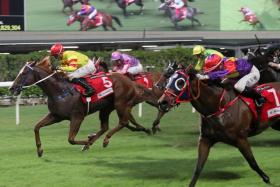 Capital Delight (Vincent Ho, No. 5) dead-heating with Lucky Archangel (Angus Chung, No. 7) in the Hong Kong Country Club Challenge Cup (1,200m) at Happy Valley on Oct 4, 2023. Andrea Atzeni will team up with Capital Delight in the Pak Tam Chung Handicap (1,200m) at Sha Tin on Jan 5.
