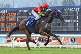 Gurney Drive, at his last win on July 21, caught the eye when running the 600m in 36.2sec on Jan 7.