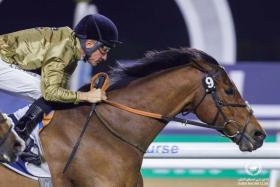 English raider Ouzo claiming the Lord North Handicap (1,800m) under jockey Adrie de Vries at Meydan on Jan 12, 2024. The Dutch jockey will bid for back-to-back wins on the nine-year-old at 11.50pm (Singapore time).
