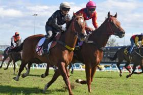 Sky Eight (Shafiq Rizuan) beating Pacific Prime (Koh Teck Huat) by a nose in Trial 7 at Sungai Besi on Jan 14 barrier trials.