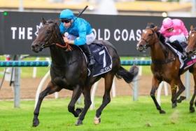 The Bjorn Baker-trained O&#039; Ole hands top Sydney jockey Tommy Berry an emotional win in the Magic Millions 2YO Classic (1,200m) on the Gold Coast on Jan 17.
