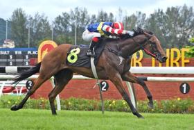 The Ooi Chin Chin-trained Red Dragonfly (Khaw Choon Kit) winning the Class 4A event over 1,500m on Jan 19.