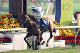 Voyage Bubble (James McDonald) winning the Group 1 Stewards’ Cup at Sha Tin on Jan 19.