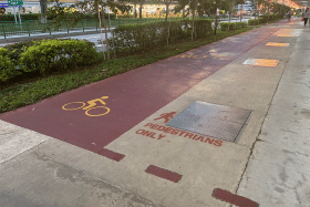 The pedestrian-only path was measured to be five footsteps wide, while the cycling path was six footsteps wide.