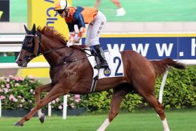 Sunlight Power (Jerry Chau) surging clear of his rivals to win by two lengths at Sha Tin on Sept 15, bringing his fourth and last win from 19 starts. Zac Purton takes over the reins in Race 3 on Jan 26.
