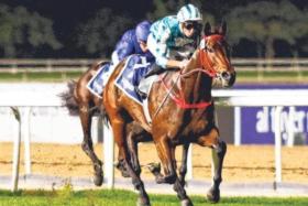 Hong Kong champion galloper Romantic Warrior (James McDonald) capturing the Group 1 Jebel Hatta (1,800m) at Meydan on Jan 24.
