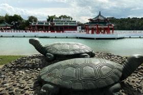 There are hourly ferries daily from both Kusu Island and Marina South Pier during the pilgrimage season.