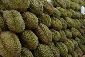 Ho Teck Lai convinced his victim to lend him $4,200 to pay for durian fruits, but used the money to pay his supplier for other orders and for gambling.