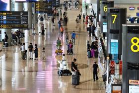 December was the busiest month of 2024 for Changi Airport, with 6.41 million passengers passing through.