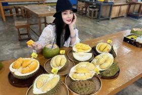 Popular Chinese actress Fan Bingbing has driven a wave of enthusiasm among tourists from China to savour the luscious taste of the king of fruits.