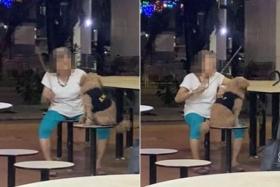 The woman raised her cane twice and hit the table thrice to scare the dog.