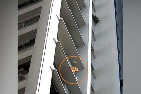 The two cases are first-time offenders of high-rise littering.