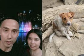 Seven rescue officers and three dogs are involved in searching for the couple, identified as Mr Sim Hwee Kok and Ms Neo Siew Choo.
