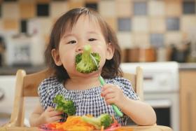 The study found that children were offered a limited variety of foods, resulting in a lack of balance in nutrition. 