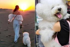 Jolin Tsai posted her last photo with her dog Woohoo on social media on July 14.